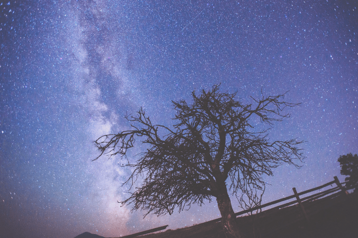 幼少期からの謎の不安・虚無・孤独──心理学でも癒せない深層の闇の正体
