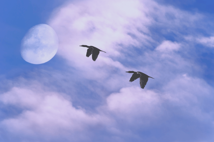 幼少期からの謎の不安・虚無・孤独──心理学でも癒せない深層の闇の正体