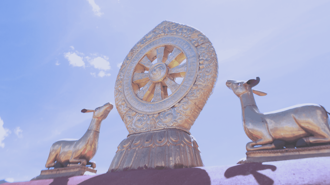 タロットセッションご感想