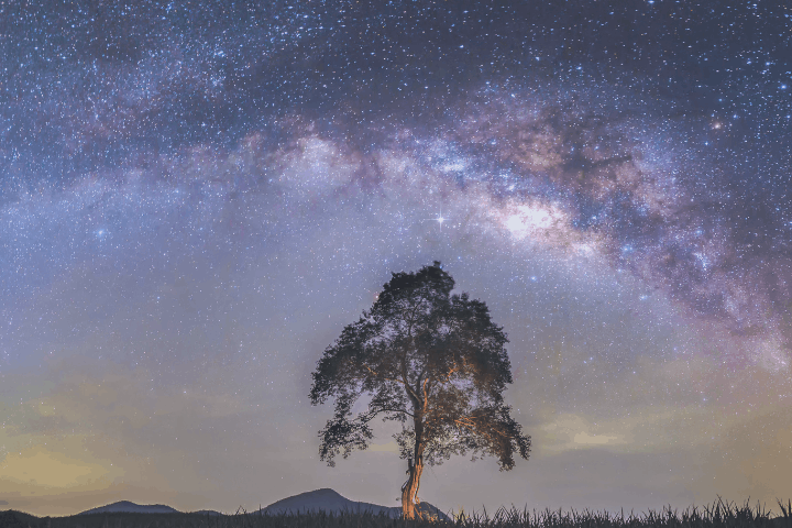 魂の羅針盤を整える ソウルリーディングとタロットリーディング、どちらを選べばいい？